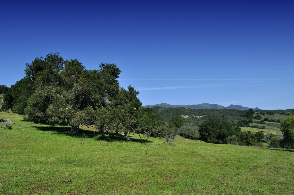 1100 Refugio Road Goleta, CA 93117 - Photo 21 of 28 a view of a grassy field with trees in the background