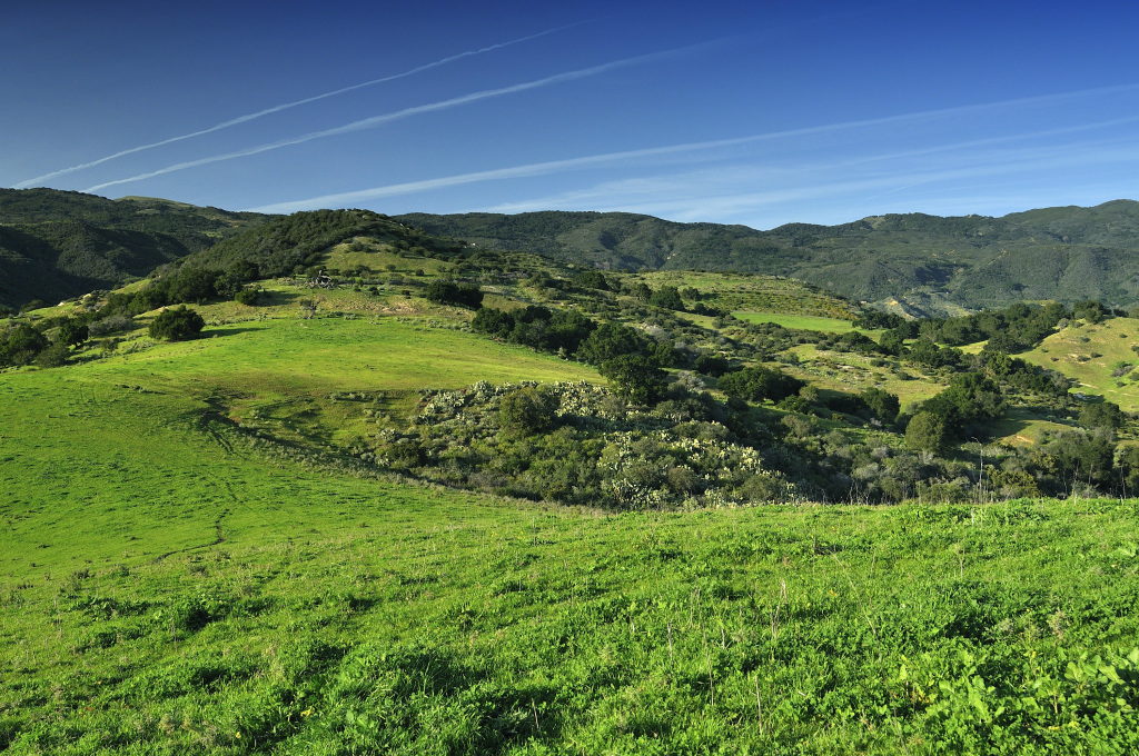 1100 Refugio Road Goleta, CA 93117 - Photo 22 of 28 a view of a lush green hillside and houses
