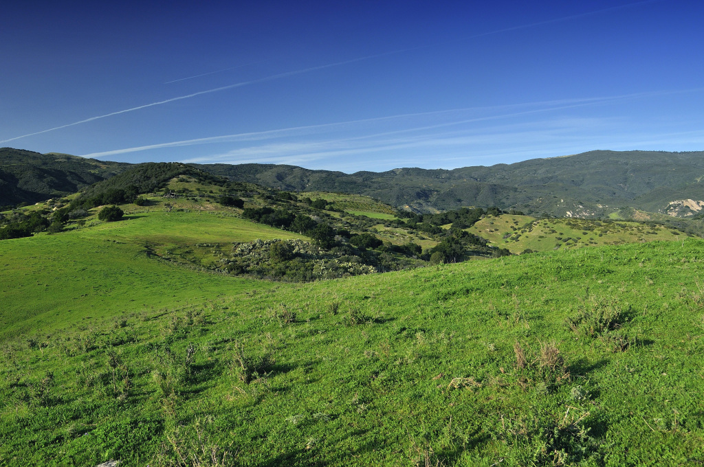 1100 Refugio Road Goleta, CA 93117 - Photo 23 of 28 a view of an lush green mountain