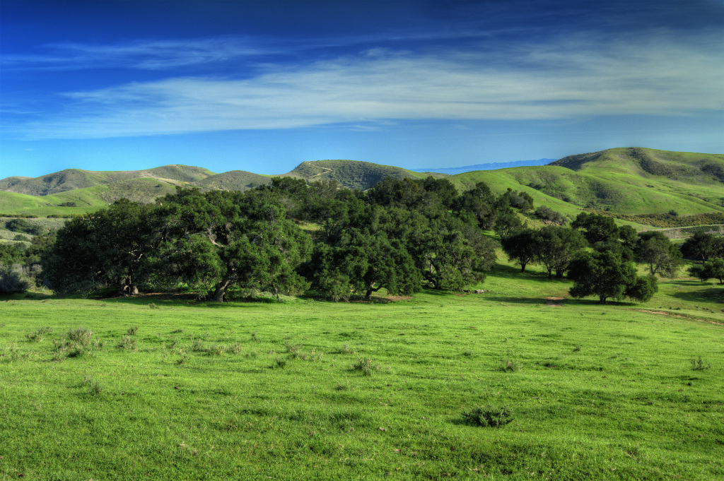 1100 Refugio Road Goleta, CA 93117 - Photo 24 of 28 a view of a grassy field with an trees