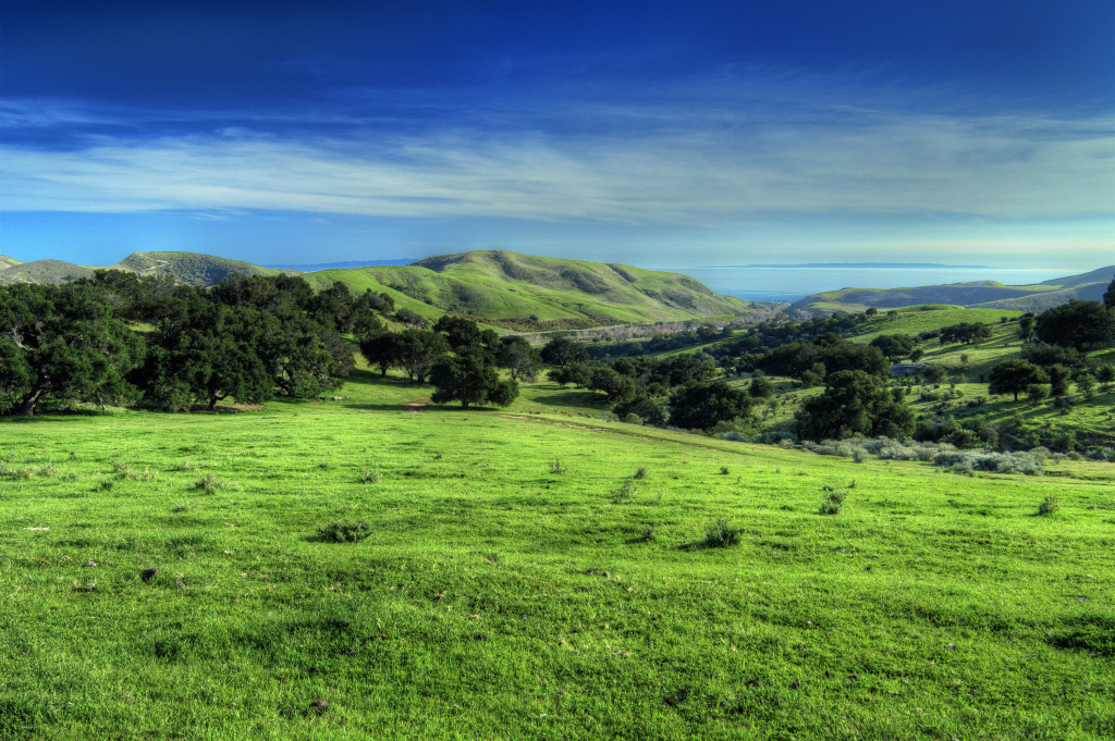 1100 Refugio Road Goleta, CA 93117 - Photo 25 of 28 a view of a lush green space