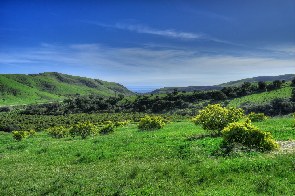 1100 Refugio Road Goleta, CA 93117 - Photo 26 of 28 a view of a field with a tree in the background