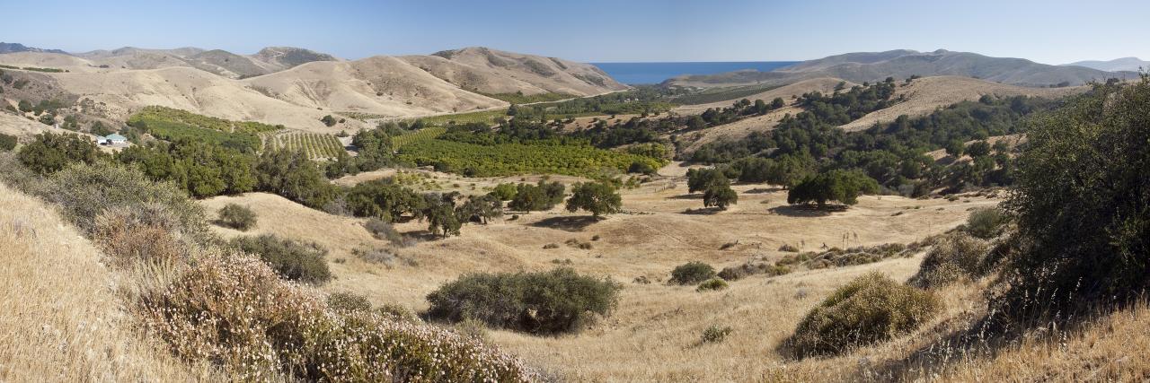 1100 Refugio Road Goleta, CA 93117 - Photo 6 of 28 a view of a backyard with snow