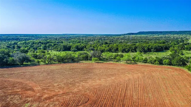 a view of a field with an ocean