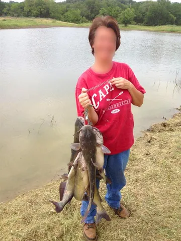 a view of a golf course with a house