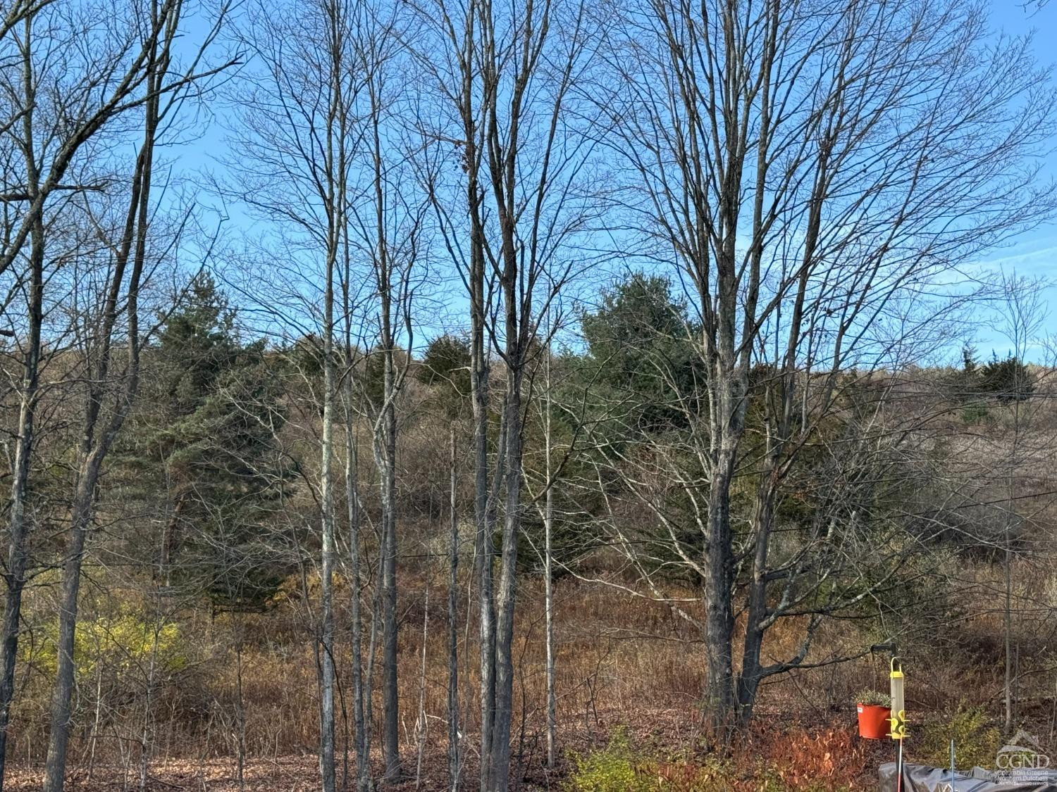 122 Bull Hill Road Conesville, NY 12076 - Photo 14 of 19 Photo 14