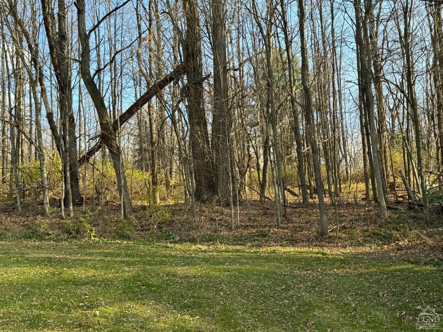 122 Bull Hill Road Conesville, NY 12076 - Photo 17 of 19 Photo 17