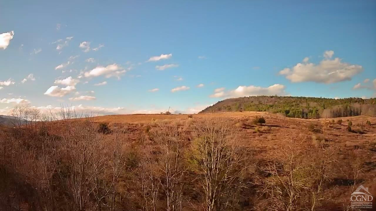 122 Bull Hill Road Conesville, NY 12076 - Photo 2 of 19 Photo 2