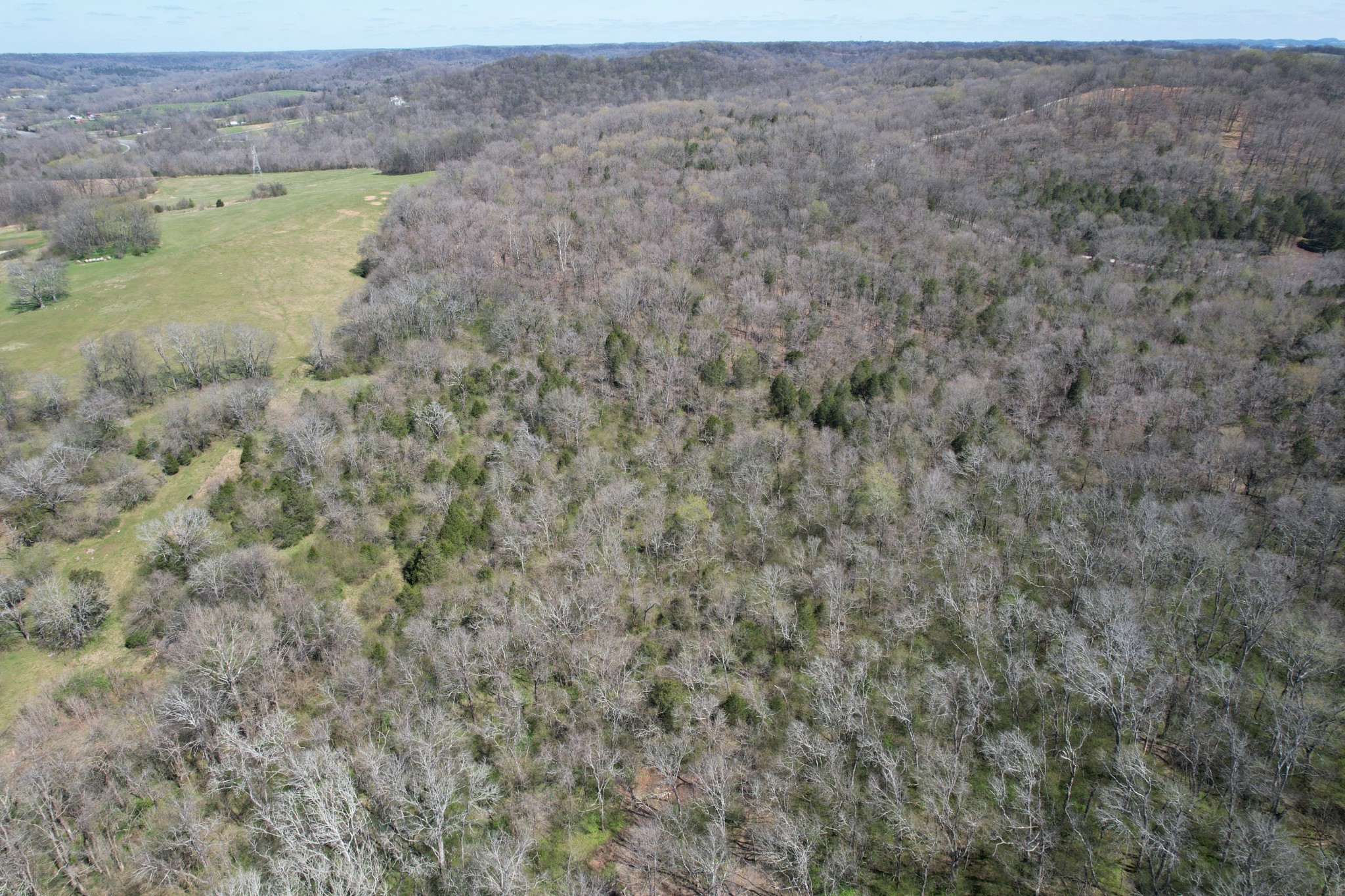 14 Old Tva Road Columbia, TN 38401 - Photo 3 of 7 Gallery Image 3