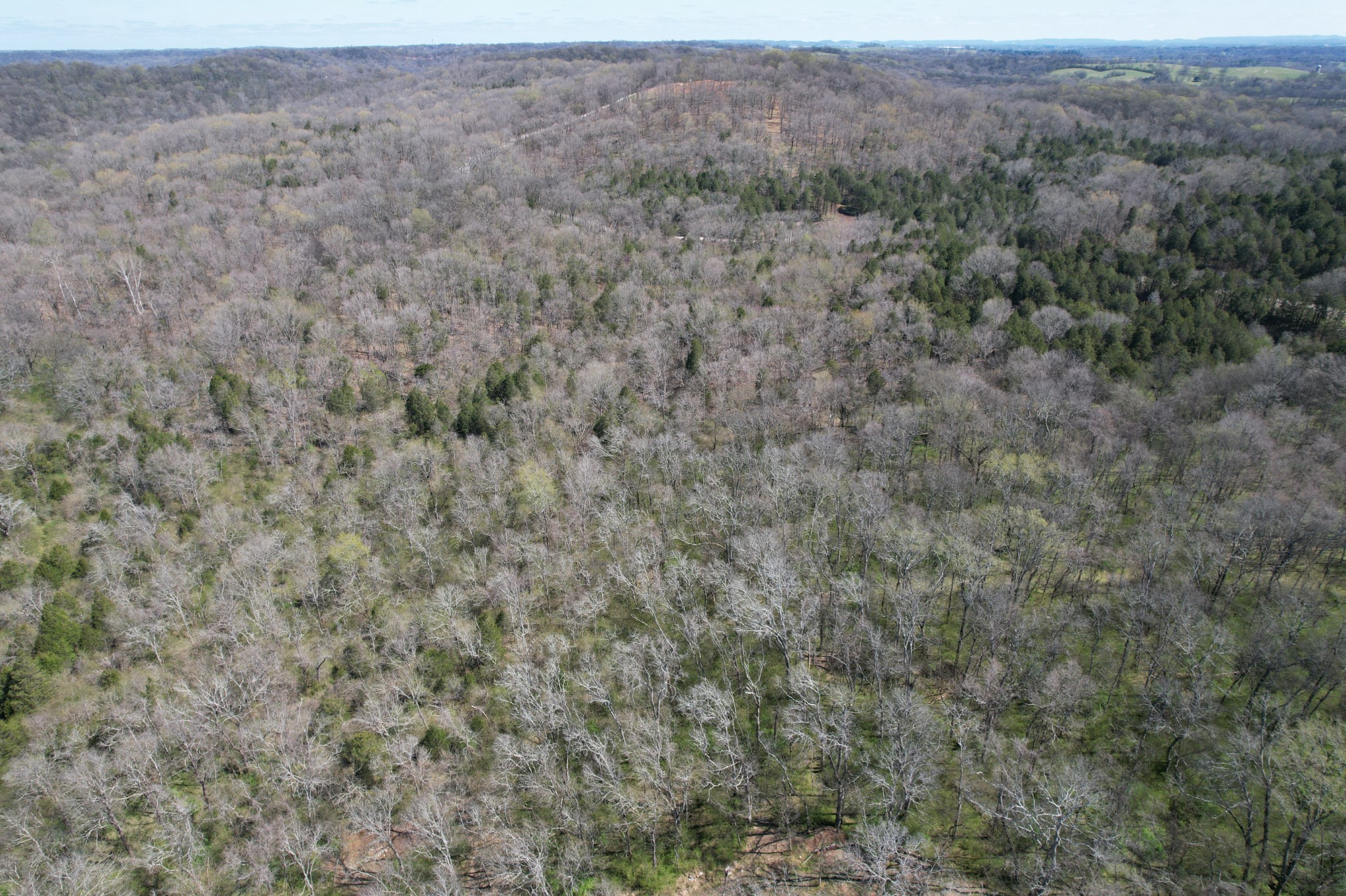 14 Old Tva Road Columbia, TN 38401 - Photo 4 of 7 Gallery Image 4