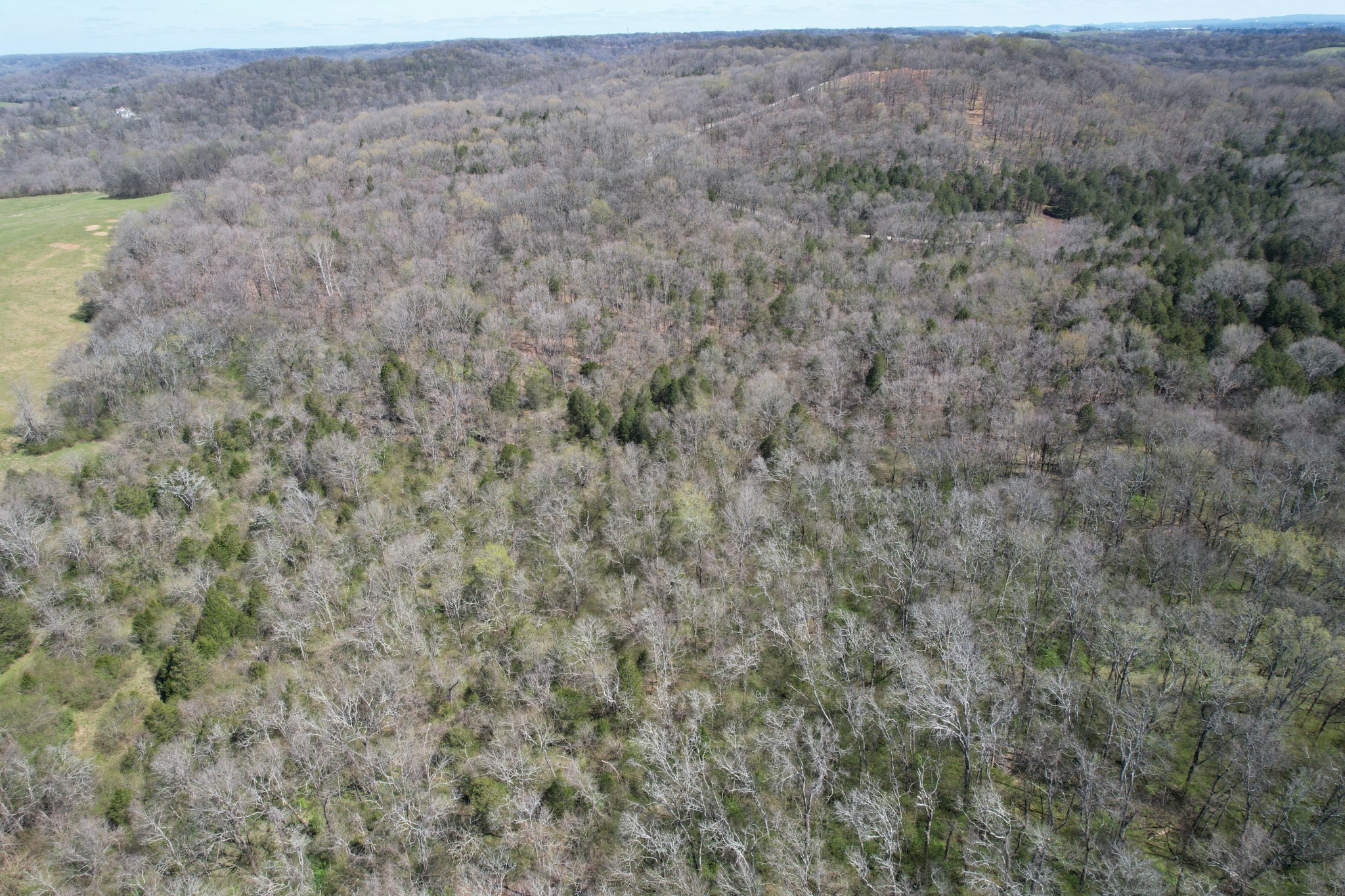 14 Old Tva Road Columbia, TN 38401 - Photo 5 of 7 Gallery Image 5