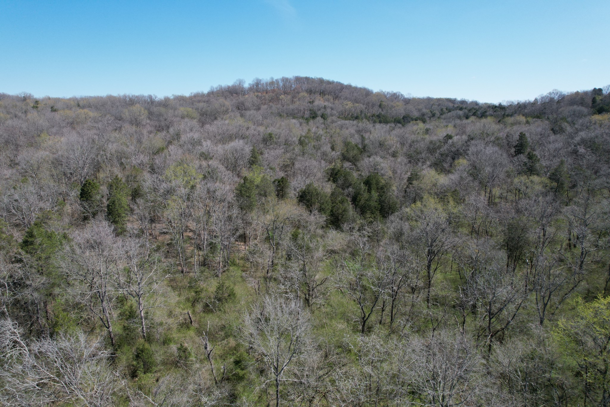 14 Old Tva Road Columbia, TN 38401 - Photo 6 of 7 Gallery Image 6