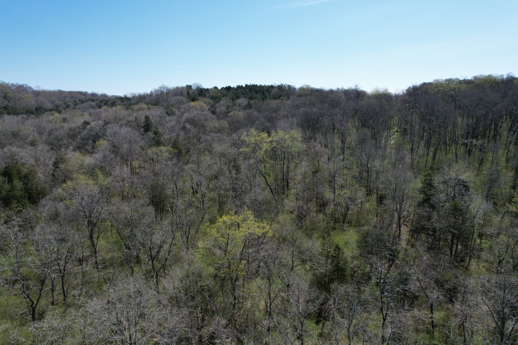 14 Old Tva Road Columbia, TN 38401 - Photo 7 of 7 Gallery Image 7