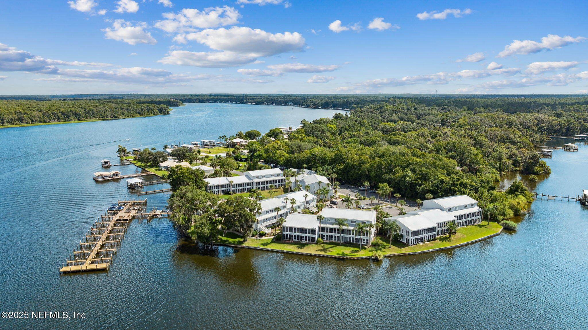 125 River Bend Road, Unit BLD D Welaka, FL 32193 - Photo 55 of 62 a view of a lake with a mountain
