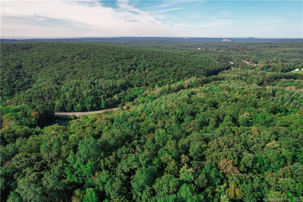 206 Upper & 0 Colburn Road Stafford Springs, CT 06076 - Photo 1 of 1 a view of a green field with lots of bushes