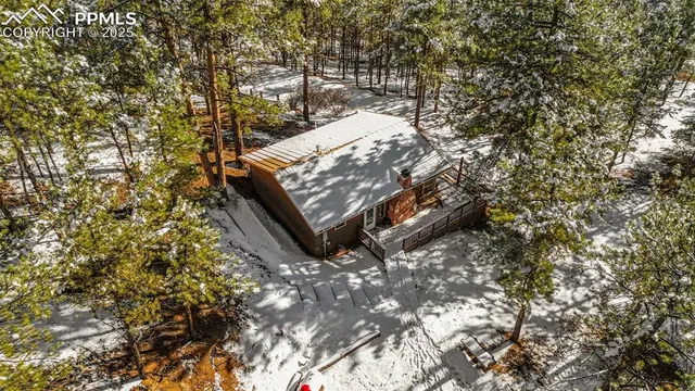 a view of a tree in a yard