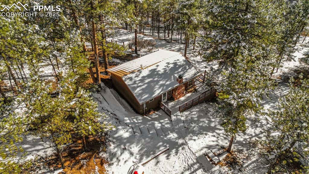 15103 Rainbow Road Sedalia, CO 80135 - Photo 35 of 48 a view of a yard with plants and trees