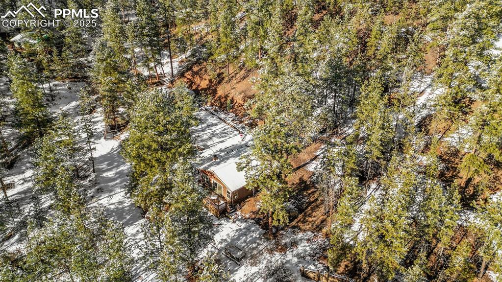 15103 Rainbow Road Sedalia, CO 80135 - Photo 36 of 48 a view of a tree in a yard