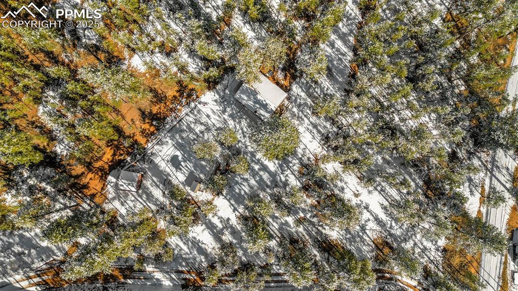 15103 Rainbow Road Sedalia, CO 80135 - Photo 36 of 48 a view of a tree