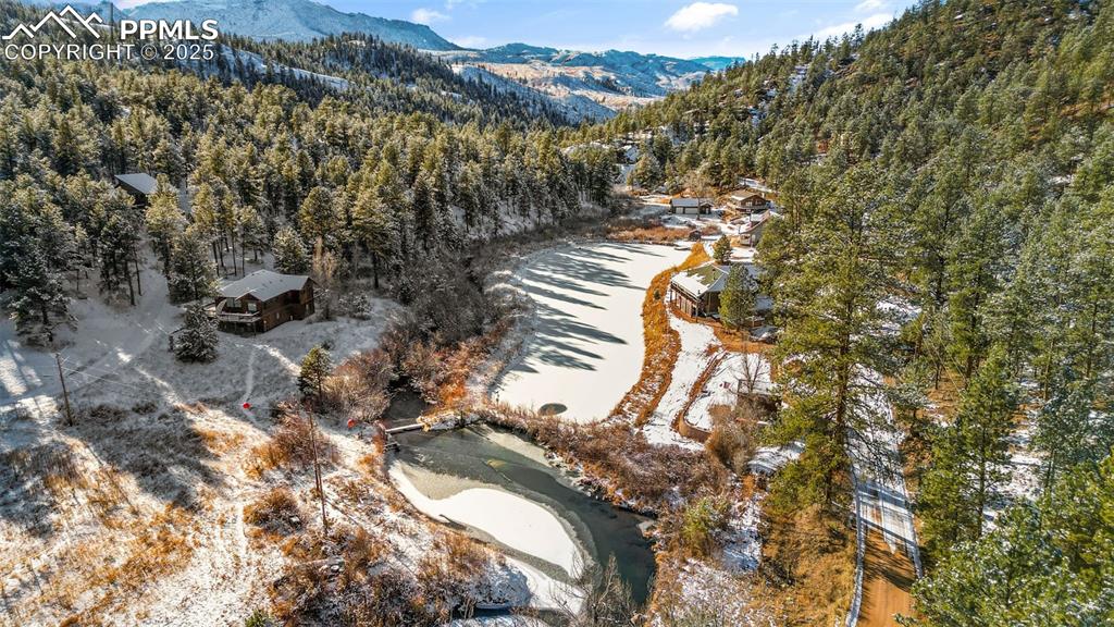 15103 Rainbow Road Sedalia, CO 80135 - Photo 42 of 48 a view of a forest with a tree