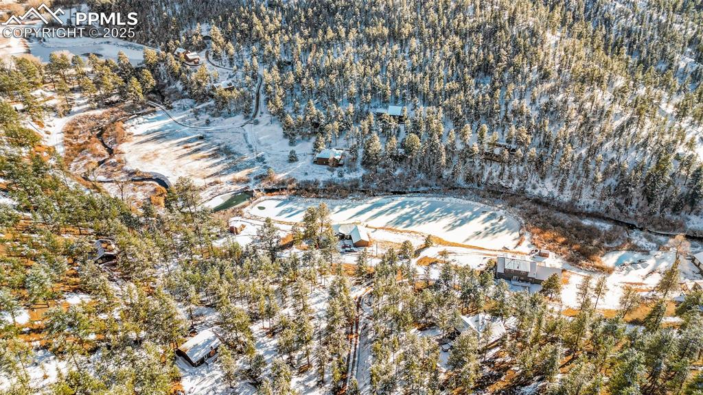 15103 Rainbow Road Sedalia, CO 80135 - Photo 45 of 48 a view of a yard with large trees