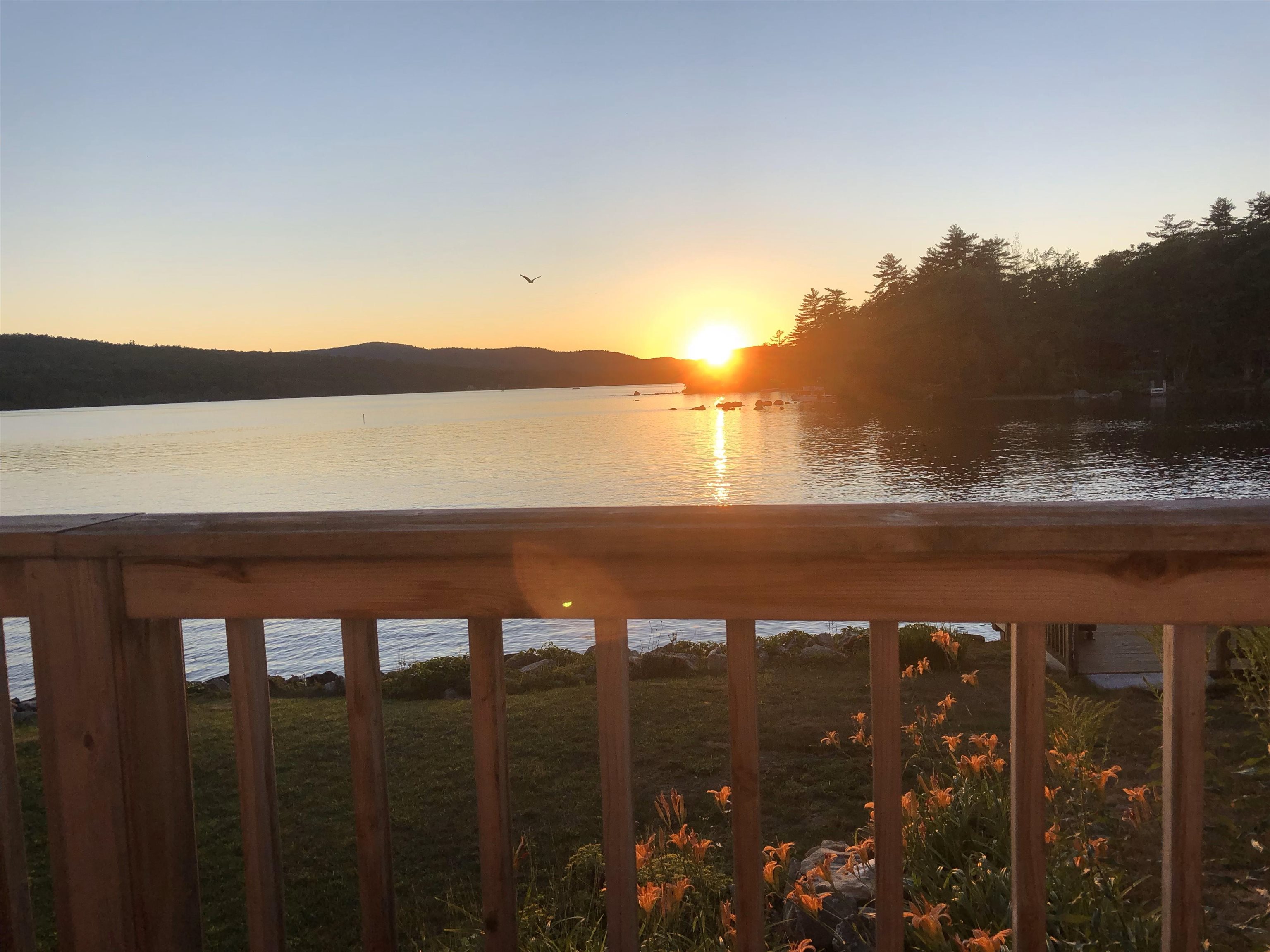 14 Avery Street Meredith, NH 03253 - Photo 30 of 39