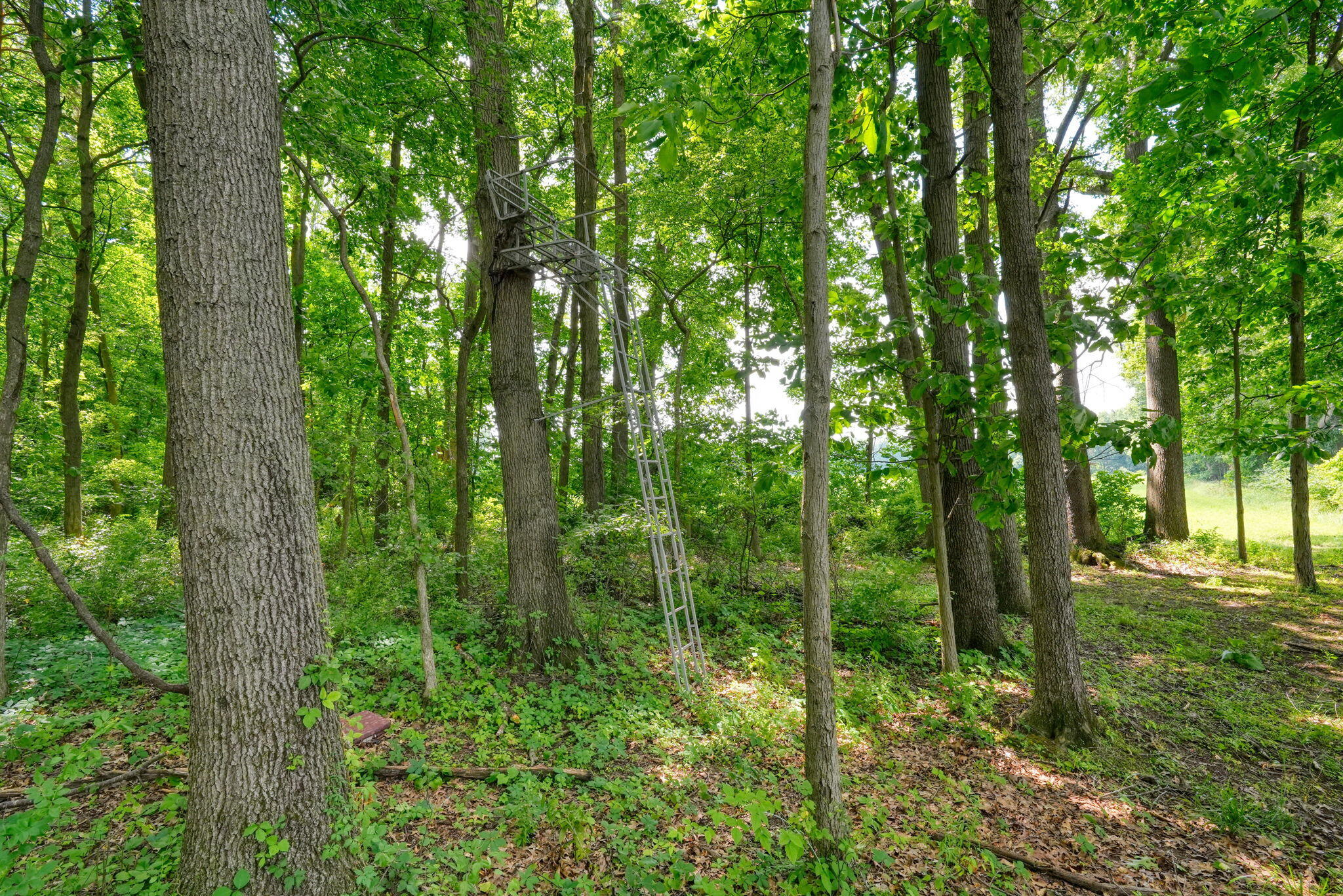 6823 Folks Road Horton, MI 49246 - Photo 97 of 120 86