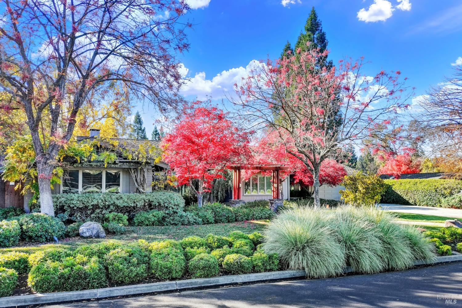 3164 Roundhill Road Alamo, CA 94507 - Photo 1 of 1 a front view of a house with yard and green space