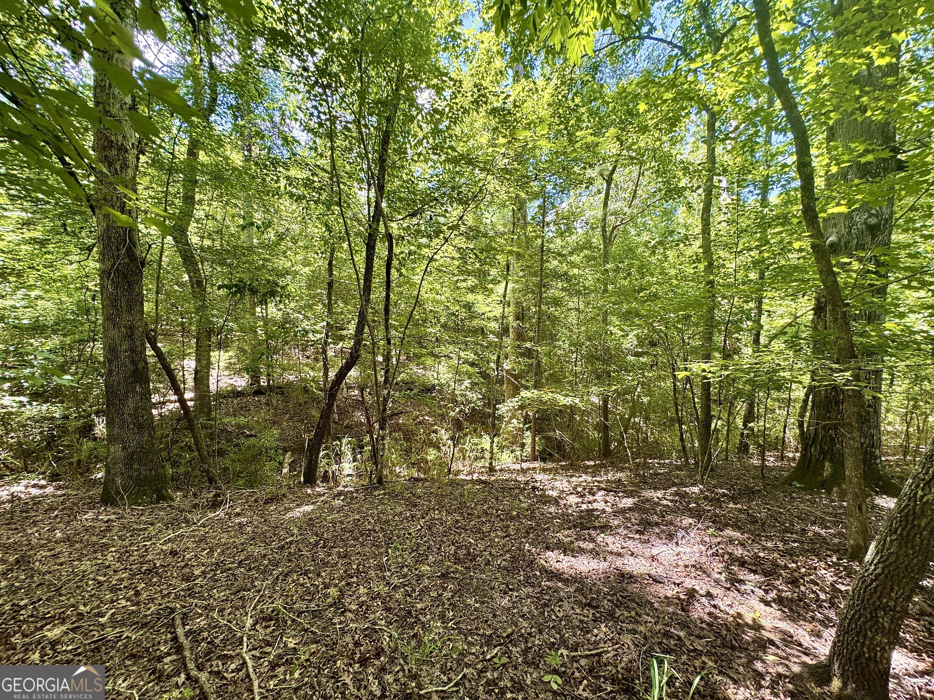 2 Roy Lawrence Road Sparta, GA 31087 - Photo 7 of 24 Gallery Image 7