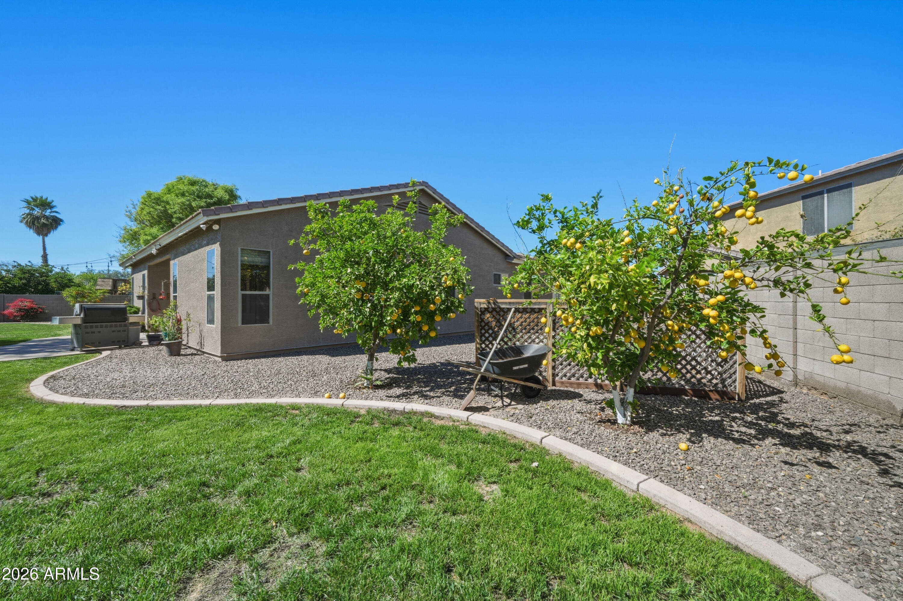 557 South Lemon Court Gilbert, AZ 85296 - Photo 33 of 39 33_038_dsc_7048