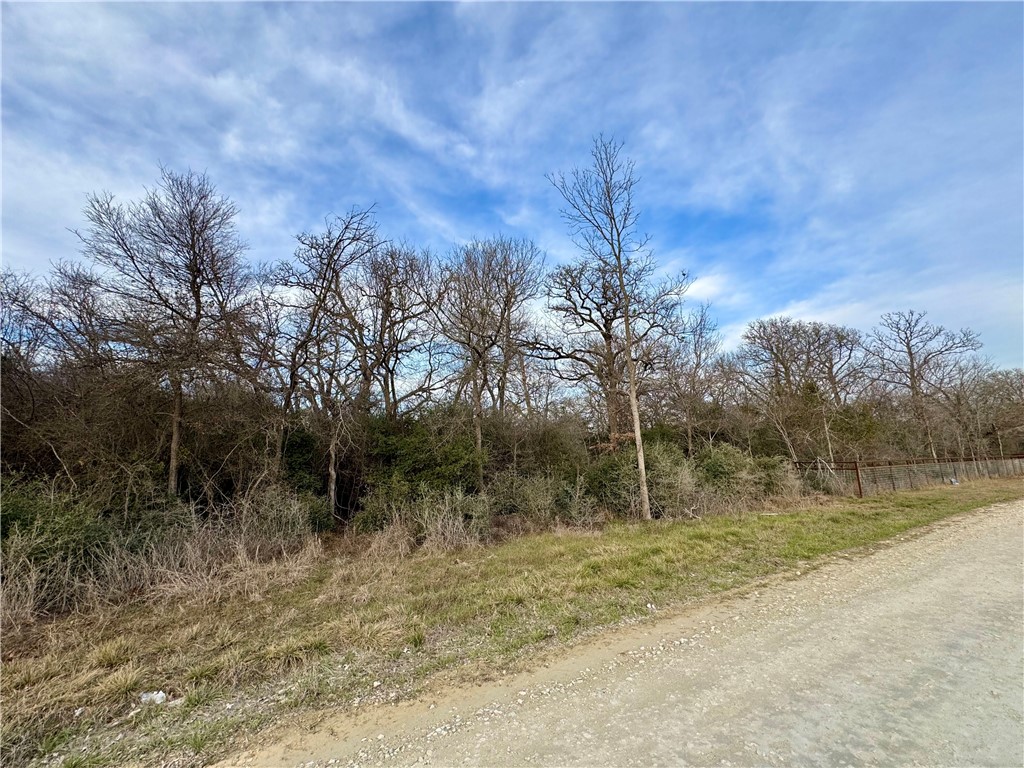 10075 River Ridge Drive Hearne, TX 77859 - Photo 3 of 8