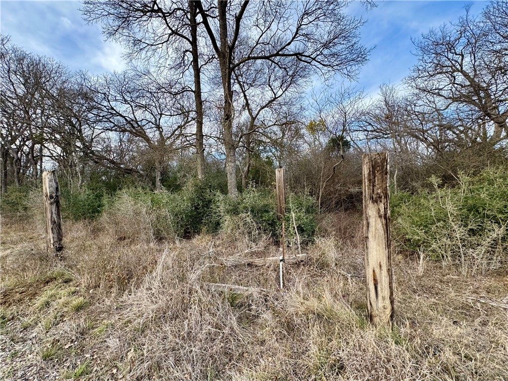 10075 River Ridge Drive Hearne, TX 77859 - Photo 4 of 8