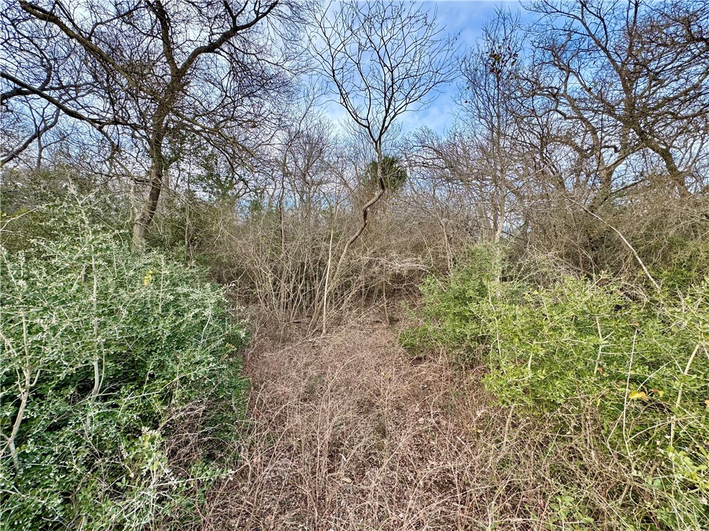 10075 River Ridge Drive Hearne, TX 77859 - Photo 5 of 8