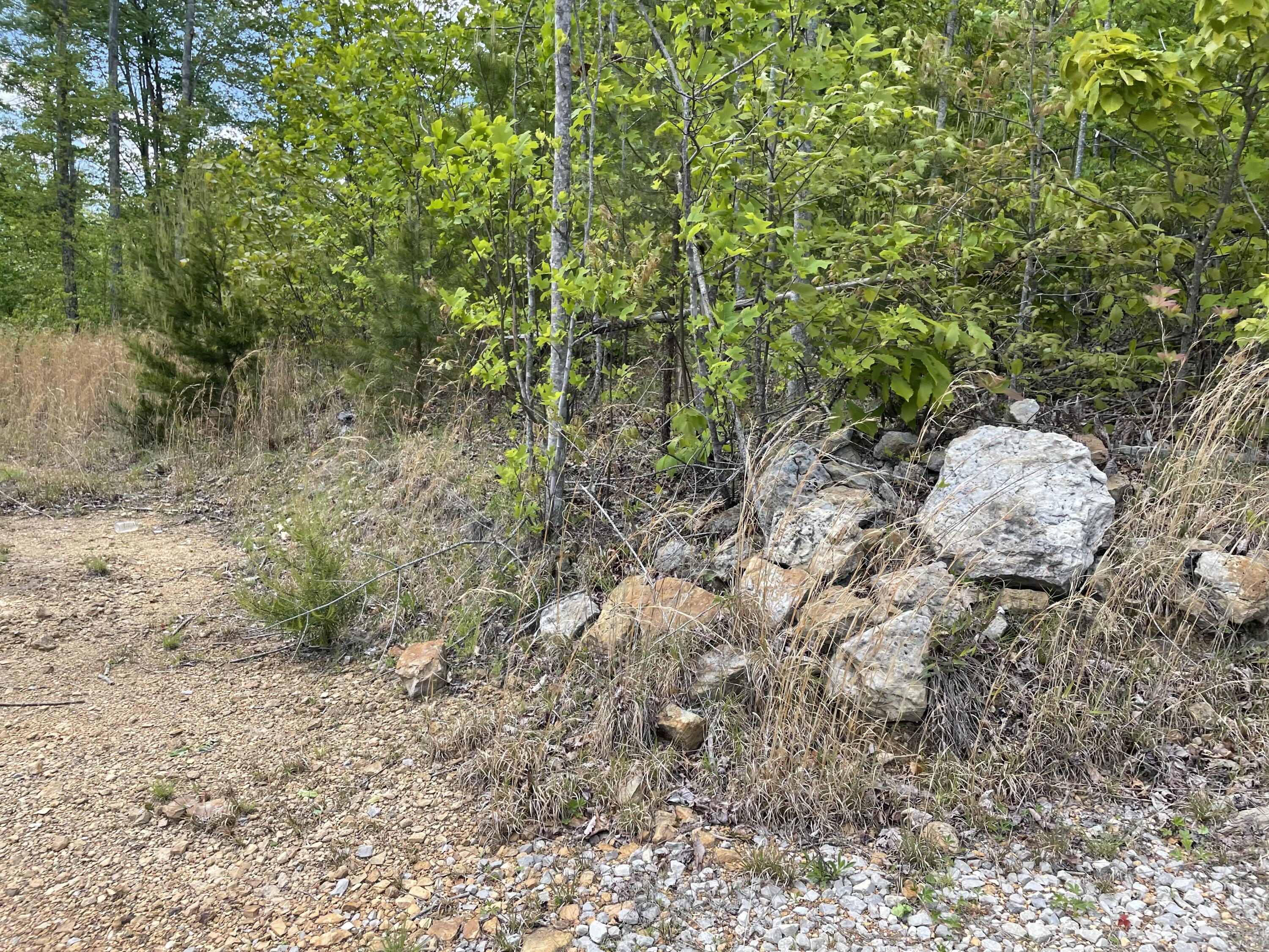 9999 Public Road Somerset, KY 42503 - Photo 15 of 15 2DAD3712-B3A9-460D-BE24-907052507434