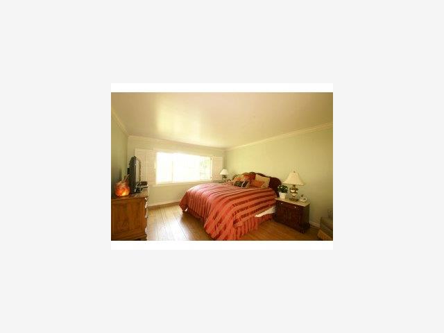 631 Hayne Road Hillsborough, CA 94010 - Photo 6 of 8 Gallery Image 6