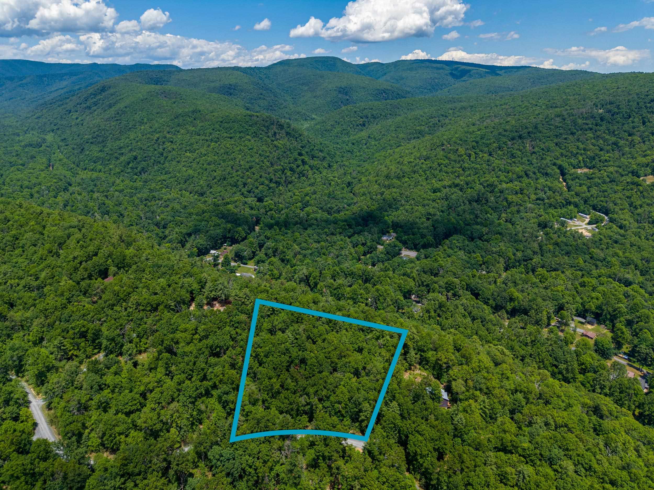5 Rabbits Foot Road Hinton, VA 22831 - Photo 3 of 16