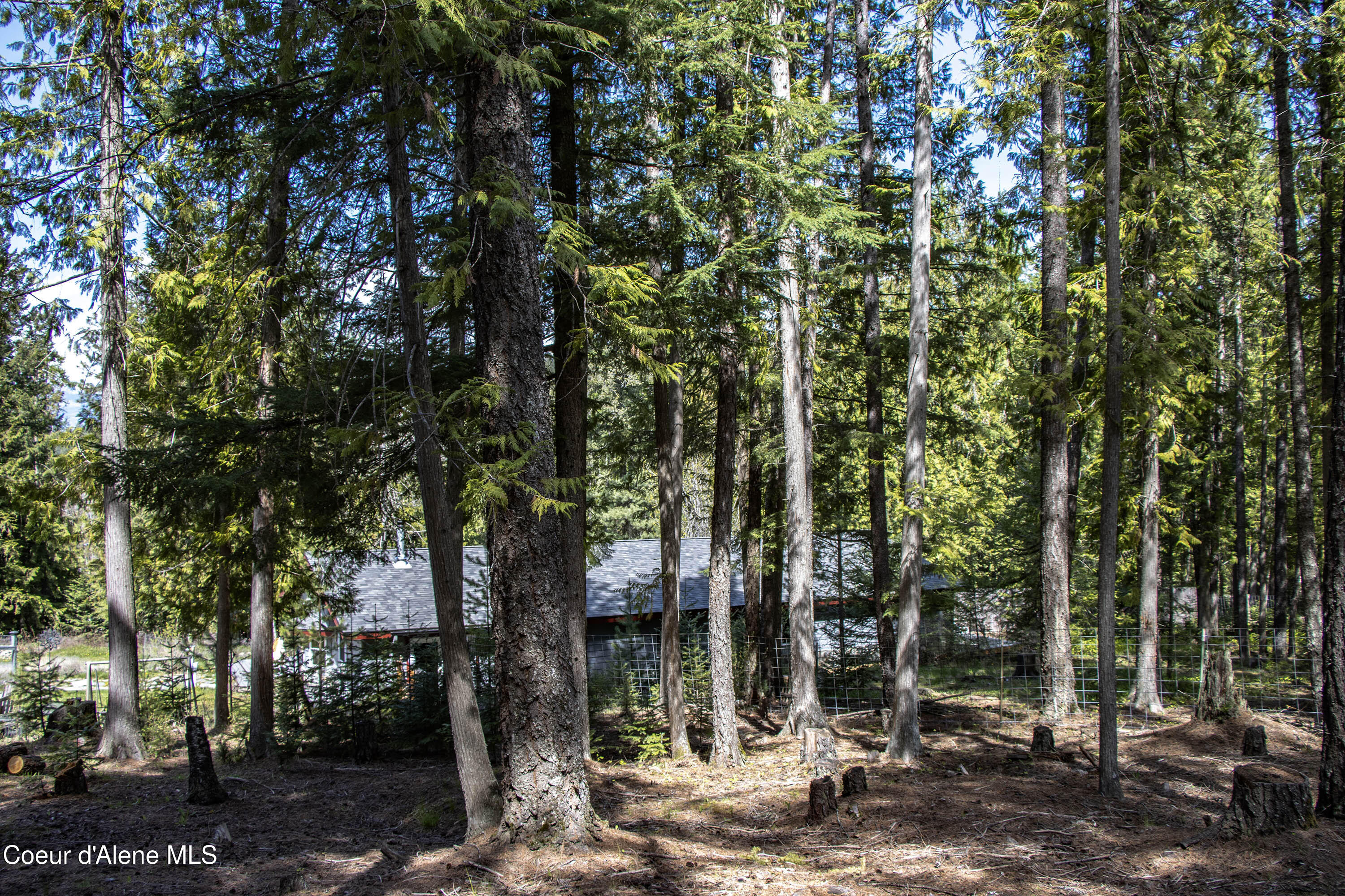 202 Fry Creek Road Sagle, ID 83860 - Photo 52 of 55 IMG_4136