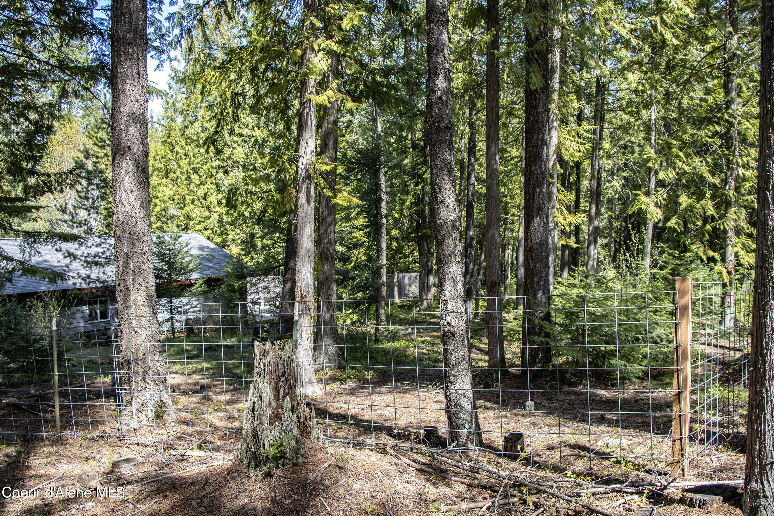 202 Fry Creek Road Sagle, ID 83860 - Photo 53 of 55 IMG_4138