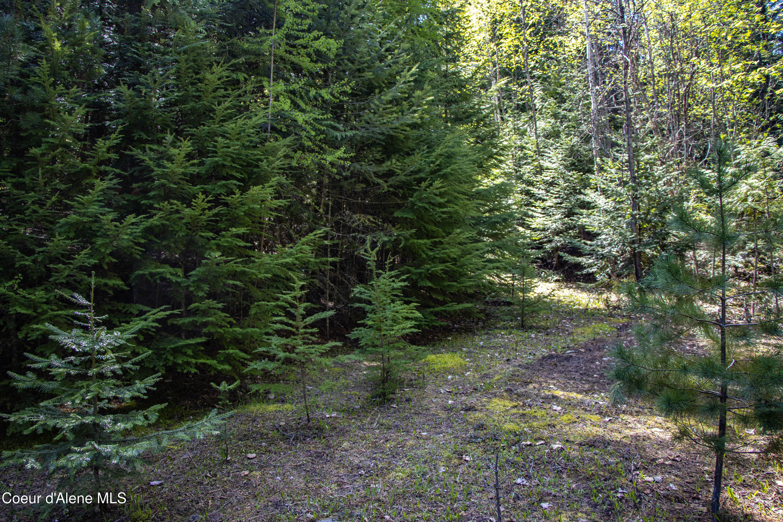 202 Fry Creek Road Sagle, ID 83860 - Photo 55 of 55 IMG_4143