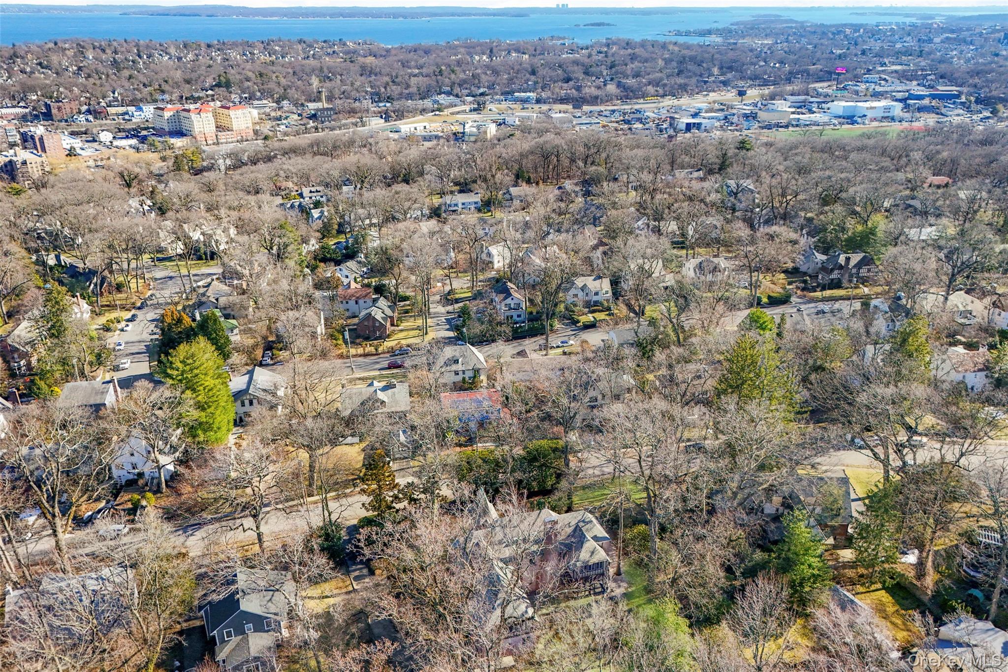 60 Wildwood Road New Rochelle, NY 10804 - Photo 44 of 49 an aerial view of residential houses with outdoor space and trees