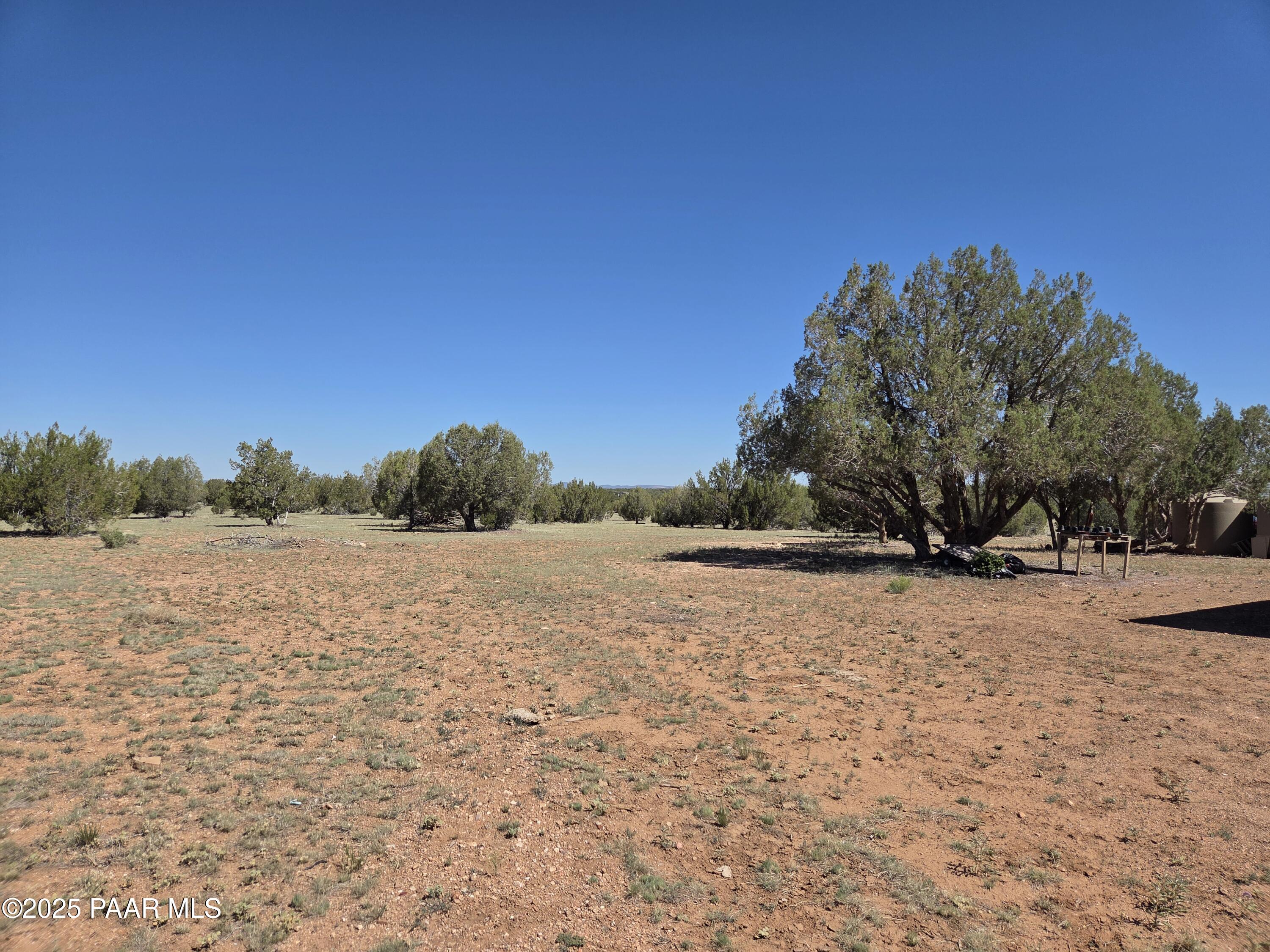 42650 North Wayne Road Ash Fork, AZ 86320 - Photo 3 of 37 a backyard of a house with large trees