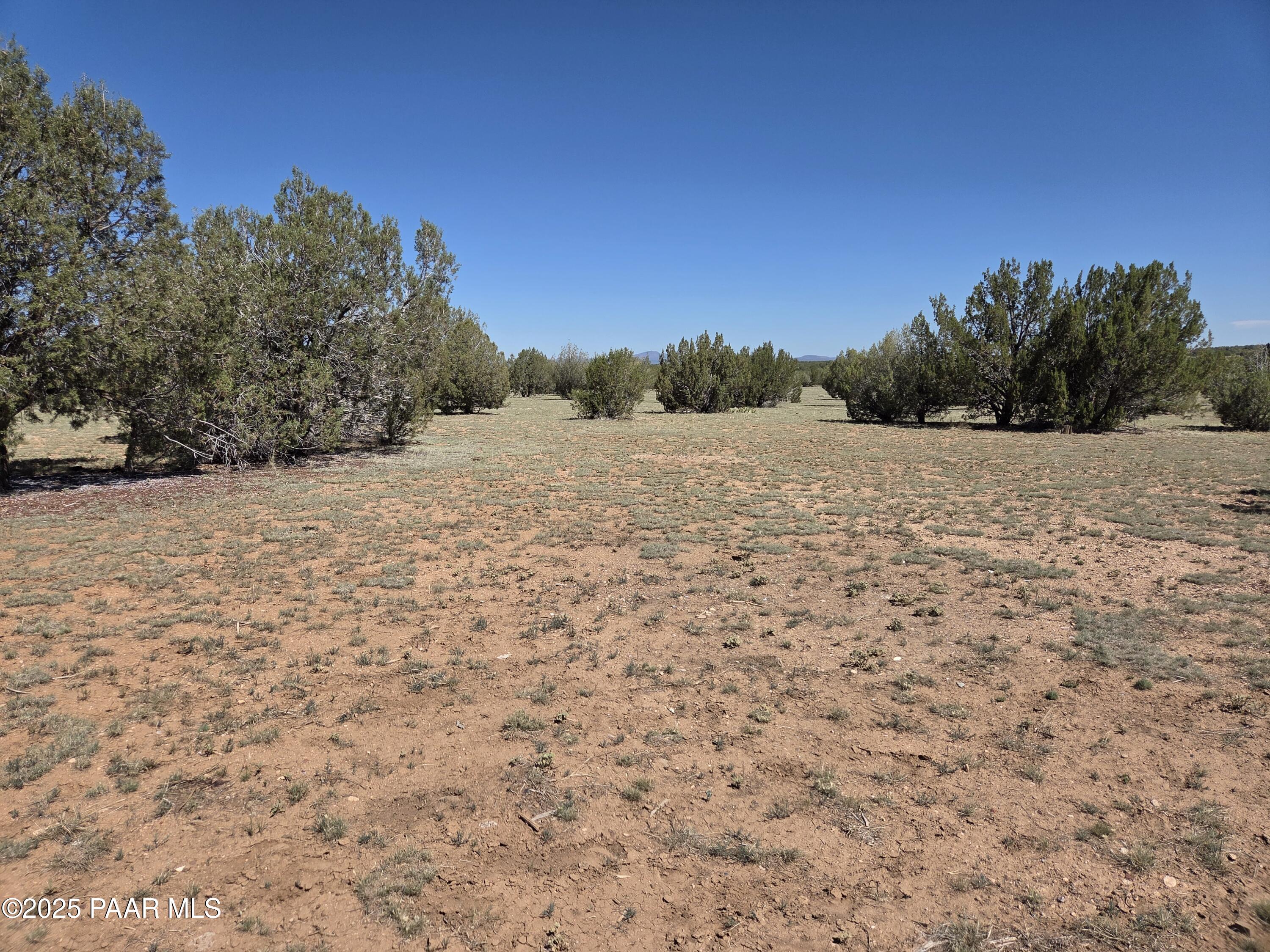 42650 North Wayne Road Ash Fork, AZ 86320 - Photo 8 of 37 a street view with mountain view
