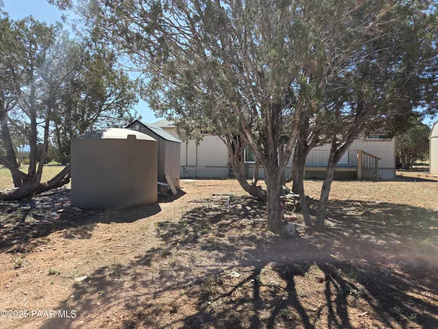 a view of a yard with large tree