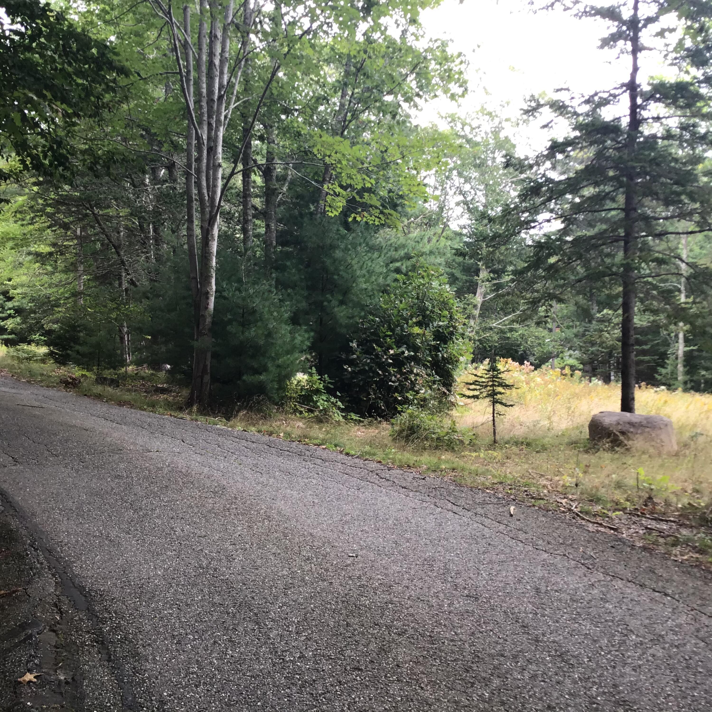 1 Giant Slide Road Mount Desert, ME 04660 - Photo 10 of 12 IMG_4460