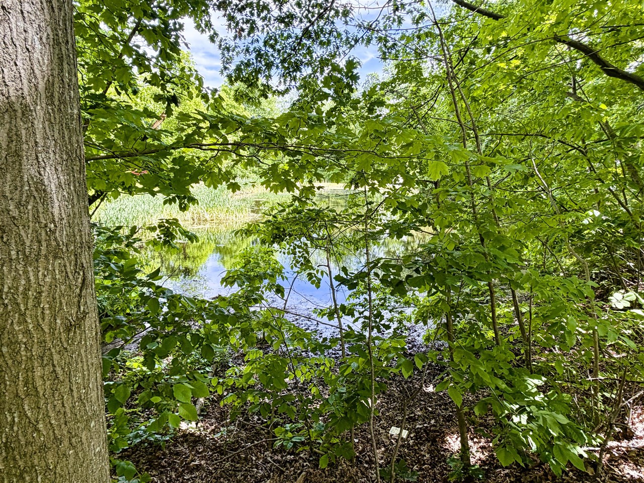8000 Warren Woods Road, Unit LOT #96 Three Oaks, MI 49128 - Photo 14 of 62