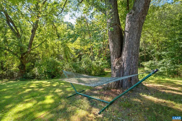 a view of a yard with plants