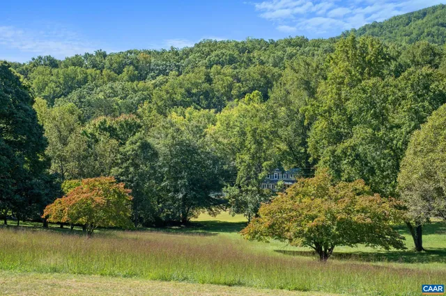 a view of a tree with yard