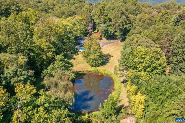 a view of a yard with plants and tree