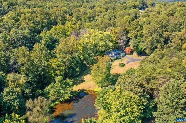 a view of a lush green field with lots of plants