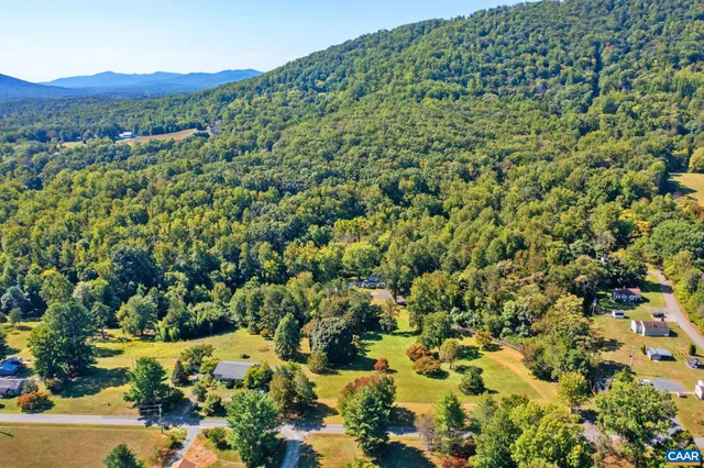 a view of a bunch of trees and bushes